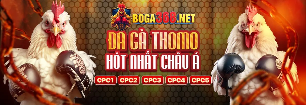 Hướng dẫn cá cược thể thao FB88 cho người mới bắt đầu